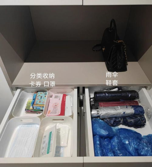 从消杀用品乱象到收纳有序，我家再也不东翻西找