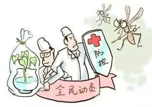 防止蚊虫传播疾病 福州加大消杀力度 预防登革热 这些事我们要做好